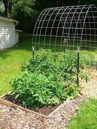 Either way, the trellis is a simple wooden frame with two horizontal supports. A Little Dirt Never Hurt Cucumber Trellis Tomato Trellis Garden Trellis