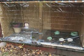 The awning extends to cover the length of a standing cat at the feeder. Outdoor Cat Feeding Station Our Diy Design Tips