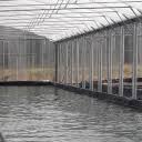 En clair, des produits locaux et de saison que l'on achète directement aux producteurs de notre région. La Ruche Qui Dit Oui