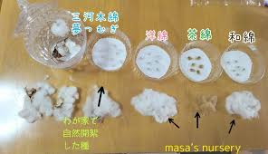 みんなの趣味の園芸