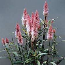 Pin On Silk And Dry Flower Arrangements