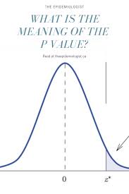What Is The Meaning Of The P Value P Value Statistics Math Math Methods