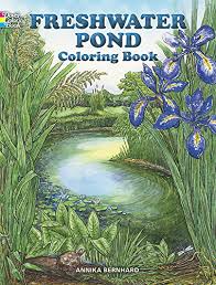 Find more coloring pages online for kids and adults of cat on pumpkin halloween coloring pages to print. National Parks Coloring Book Dover Nature Coloring Book Peter F Copeland 9780486278322 Amazon Com Books