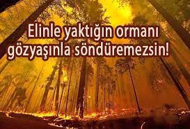 Buradasınız:home » sözler » i̇lgili sözler » yangın ile ilgili sözler. Yangin Haftasi Ile Ilgili Sozler Ve Sloganlar Starfikir