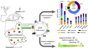 The flavor is sweet and pleasant, but less popular than that of annona cherimola. Life Cycle Assessment Of Fruit And Vegetable Production In The Region Of Murcia South East Spain And Evaluation Of Impact Mitigation Practices Sciencedirect