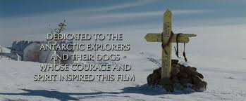 Eight Below Below Movie Download Movies Movies