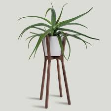 Adjustable plant stand 8 to 12 inches, bamboo mid century modern plant stand 15 inches in height, indoor plant stand, fit 8 9 10 11 12 inch pots pot & plant not included, light brown. These 13 Modern Plant Stands Put Your Favorite Plants On Display