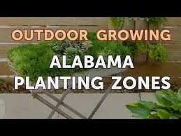 We did not find results for: Alabama Planting Zones Youtube