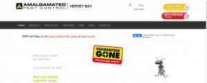 Termite inspections and treatment : 5 Best Pest Control Companies In Hervey Bay Kev S Best