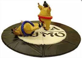 Sumo suits are recommended for kids ages 13 to full size adults. Adult Sumo Suits Inflatable Games So Soft Play Limited