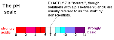 more advance acid bases mew acid and base reactions