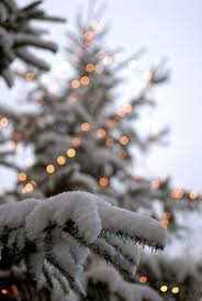 Explore and share popular christmas wallpapers on wallpapersafari. 190 Christmas Aesthetic Wallpaper Ideas Christmas Aesthetic Christmas Aesthetic Wallpaper Christmas Wallpaper