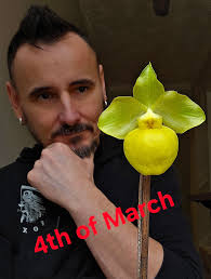 Gorgeous foliage and long-lasting flowers