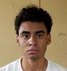 NY MAN CHARGED WITH ATTEMPTED MURDER IN LODI