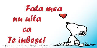 Noapte buna floricica mea dragalasa, razele lunii sa te mangaie si sa te. Poze Blog Imagini Cu Te Iubesc Fata Mea