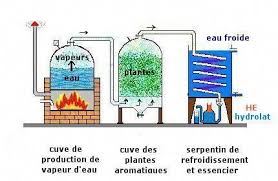 Distillation Des Huiles Essentielles Outilsbricolageboite Ulei Esențial Uleiuri Esențiale Alcool