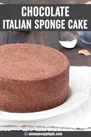 Chocolate Italian Sponge Cake Recipe Sponge Cake Italian Sponge Cake Sponge Cake Recipes