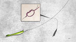 Mit Ruckwartsgang Auf Barsch Zander Zander Angeln Angeln Zander