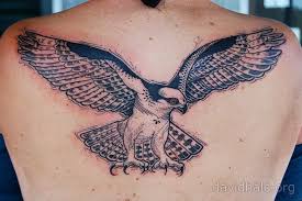 Bird Of Prey Tattoo Tattoos Hawk David Hale Hawk Tattoo Tattoos Artsy Tattoos