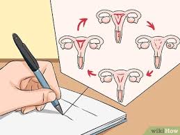 It isn't clear what causes cervical cancer, but it's certain that hpv plays a role. Die Symptome Von Gebarmutterhalskrebs Erkennen 12 Schritte Mit Bildern Wikihow