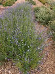 Pin On Gardening