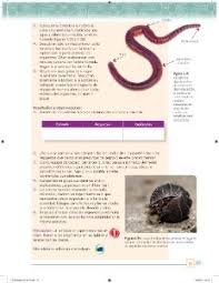¡paco te ayuda con tu tarea! The Good Days Paco El Chato Secundaria 1 Grado Biologia Informatica 1 Ediciones Punto Fijo Paco El Chato Libro De Lecturas De Primer Grado Libro Del Perrito Cuentos Infantiles 2020 Espanol