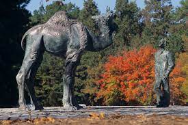 Dromedary camels, which have one hump, and live science is supported by its audience. The Mystery Behind The Camel Statue Research Blog