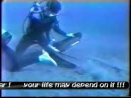Scuba Funny Videos Best Of Nsda Part 2 Youtube