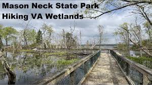Mason neck park has received a rating of 5.0 out of 5 bones by 2 canine critics on bringfido. Hiking Mason Neck State Park Va Wetlands Youtube