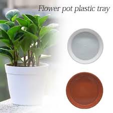 Jiffy plant pots & pellets. Round Small Large Plastic Plant Pot Water Tray Base Saucer For 3 4 5 6 Eur 3 38 Picclick De