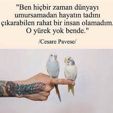 Ben Hicbir Zaman Dunyayi Umursamadan Hayatin Tadini Cikarabilen Rahat Bir Insan Olamadim O Yurek Yok Bende Cesare Paves Soz Guzel Soz Ozlu Sozler Hayat