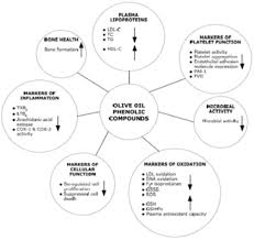 Olive Oil Phenols Intechopen
