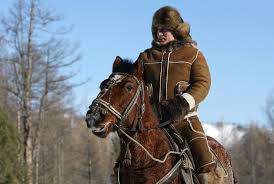 Image result for putin on horseback