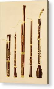 Sive bassoon ornaments by analyzing audio recordings played by a professional. A Dulcian An Oboe A Bassoon Acrylic Print By Alfred James Hipkins