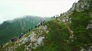 Visit vesterålen, rådhusgata 11, sortland postadresse postboks 20 8401 sortland kontaktinformasjon tlf: Se De Spektakulaere Bildene Fra Dronningens Favorittrute Nrk Nordland