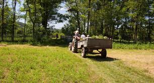 We scooped up the last one at our local store. Lawn Tractor Trailers Mechanicwiz Com