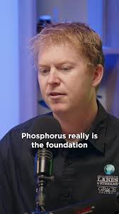 Understanding Phosphorus Impact