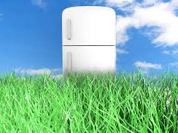 Five racks are moveable and removable so you can fit in a wide selection of your favorite beverages. 4 Awesome Fridges For The Outdoors Living The Outdoor Life