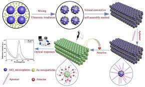 Section 3 presents an overview of the chemical detection technologies. Biosensors Free Full Text Plasmonic Sensors For Monitoring Biological And Chemical Threat Agents Html