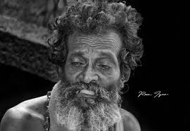 Motorcyclist with dogs spreading joy in the city