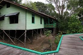 Search for world of warcraft with us. Taman Nasional Betung Kerihun Menyimpan Keanekaragaman Hayati Halaman All Kompas Com