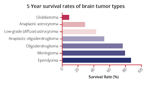Beat Brain Tumors – Misha Sakharoff