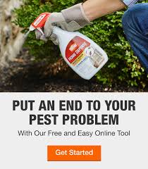 When the weather is cloudy, be extra careful not to wet foliage when watering. Pest Control The Home Depot