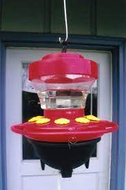 Our Feeders Humming Bird Feeders Diy Hummingbird Feeder Feeder