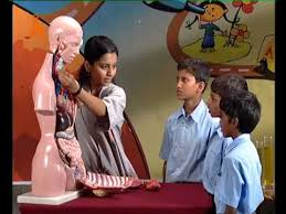 The Human Torso Kannada Youtube