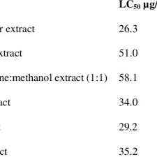 Image result for Terminalia mollis × stenostachya