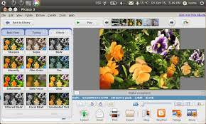 Where can i find my photos? Google Picasa 3 0 Beta Review