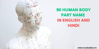 Human body parts name | the structure of the human body is made from small organs. 90 Human Body Parts Name In English With Images