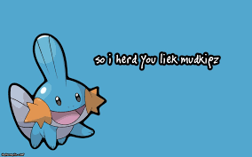 So I herd u liek mudkipz?