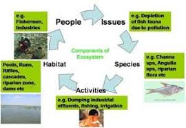Diferencia Entre Abiotico Y Biotico Ecosystems American Heritage Girls Ecology